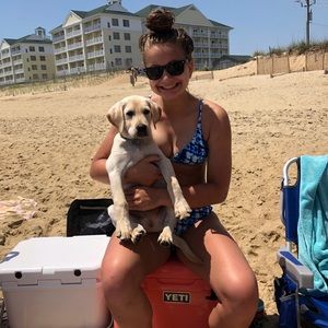 Meet your Posher, Max